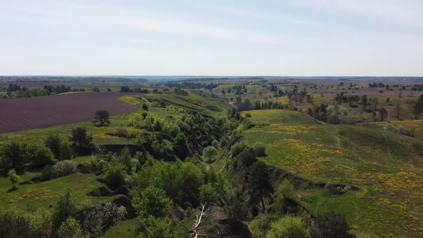 Valley with steep ravines on the slopes overgrown with green grass and rarely growing trees next the agricultural fields in spring sunny day, aerial view while moving backwards
