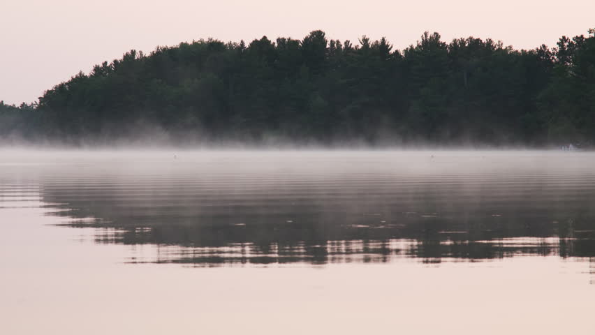 Low morning mist hovers above a calm forest lake with soft reflections on the rippled water surface.