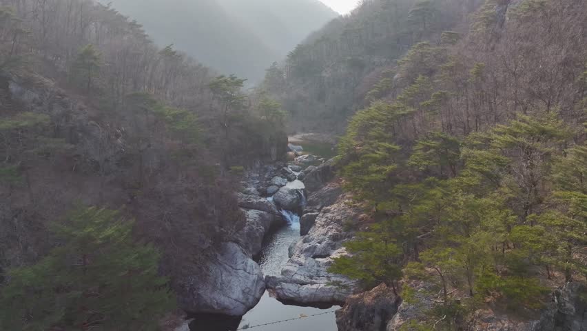 Aerial drone shot of a resilient pine tree growing on a steep, rocky cliff in Mungyeong, South Korea