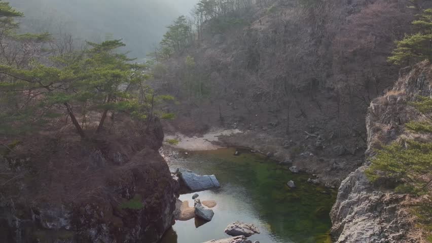 Aerial drone shot of a resilient pine tree growing on a steep, rocky cliff in Mungyeong, South Korea