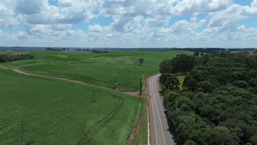 Curving road cuts through soybean fields and native forest in a smooth forward aerial flight over rural southern Brazil.