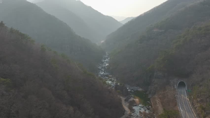 Aerial drone shot of a resilient pine tree growing on a steep, rocky cliff in Mungyeong, South Korea
