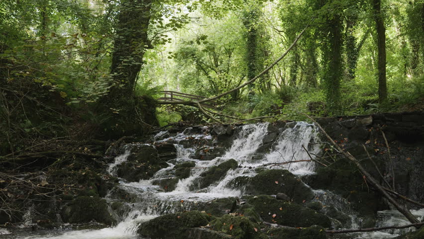 Fantasy view of a stone bridge over a stream and waterfall in an Irish forest