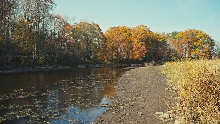Panning shot of river next to a field with a forest in the background