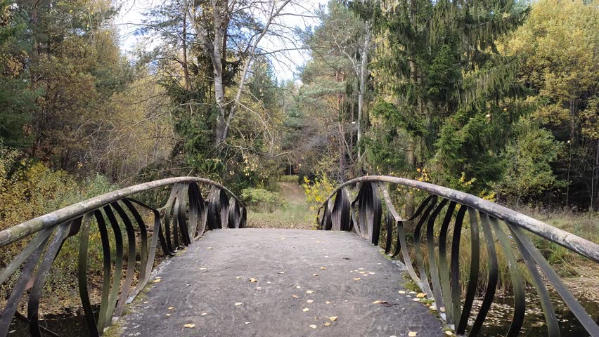Pine, aspen, birch and spruce trees grow on the grassy banks of the river. A pedestrian concrete bridge with a metal fence spans the river. Sunny autumn weather, yellow leaves and leaf fall