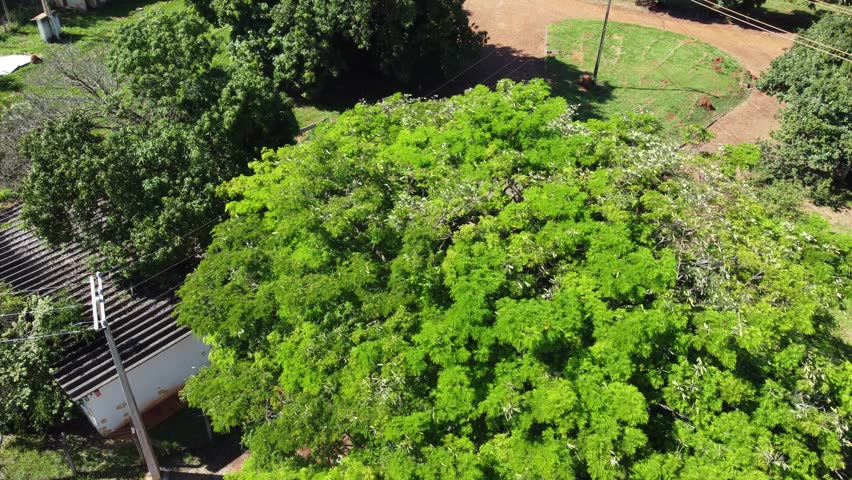 Aerial drone shot starting at treetop level and ascending with a pan to reveal a massive electrical transformer station and power grid infrastructure in Goiania, Brazil.