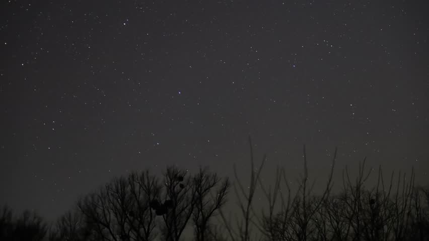 Twinkling stars moving across the night sky above the dark silhouettes of bare winter trees