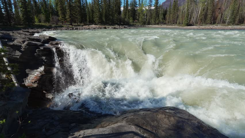Rushing Athabasca Falls showing powerful glacial water and surrounding forest landscape
