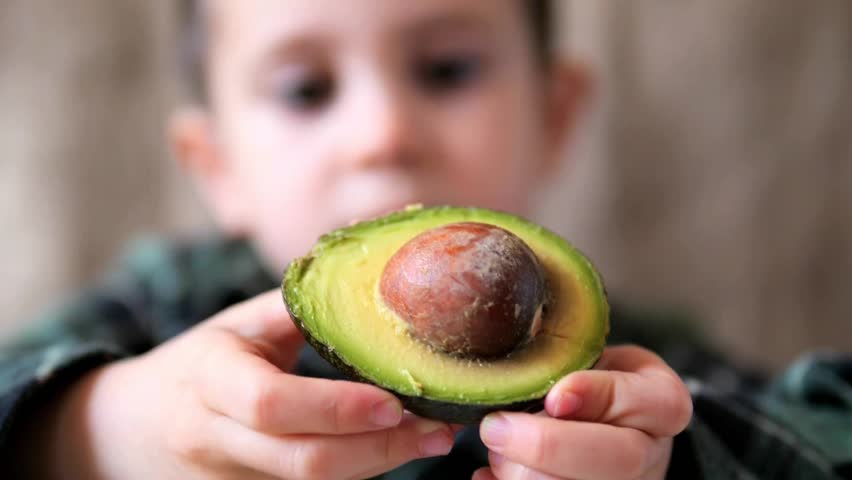 Young Child Holding Halved Avocado with Pit Toward Camera — Kids Healthy Eating, Whole Food Nutrition, Persea americana Fruit Close-Up, Child and Fresh Food Concept