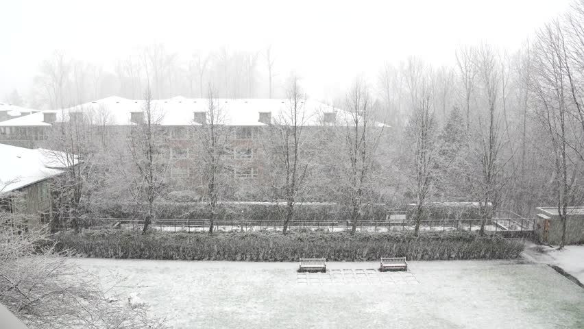 Winter, Snow, Forest, Park, Suburbs, Canada