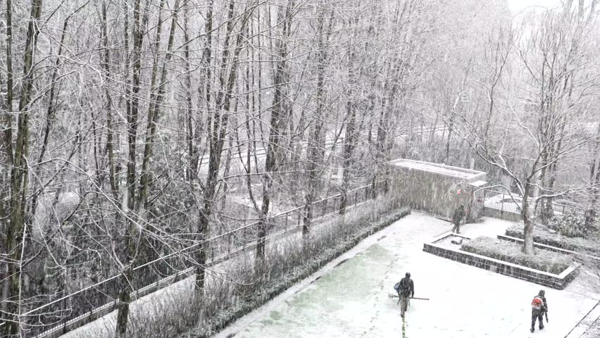 Winter, Snow, Forest, Park, Landscapers, Working, Suburbs, Canada