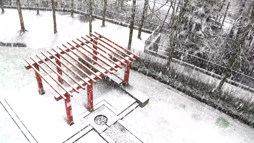 Winter, Snow, Forest, Park, Suburbs, Areal Shoot, Vancouver, Canada