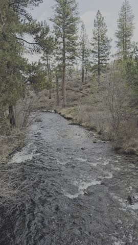 This video shows a scenic view of Tumalo Creek flowing under a wooden bridge, within Shevlin Park near Bend, Oregon. 
The area is known for popular hiking trails that follow this creek. 
It is located within the Deschutes National Forest, characterized by Ponderosa Pine forests and volcanic scenery. 
The Deschutes River, which Tumalo Creek flows into, is a major waterway in the region offering fishing and boating opportunities. 