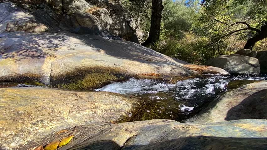 4K video with natural sound of a small, noisy mountain river in Southern California during autumn. Water flows over rocks with floating yellow and green leaves, surrounded by trees and a branch of red wild rose hips. Bright sunny day.