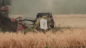 Combine harvester harvests golden wheat in field - Powered by Shutterstock - Get 15% off with code: PIKWIZARD15