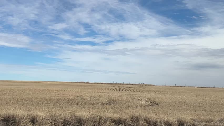 A wide scenic view of the Alberta prairie showcasing open fields, natural terrain, and a vast sky stretching across the horizon. The landscape highlights the beauty of rural Canada with its calm atmosphere, soft natural light, and expansive space. Ideal for themes of nature, environment, travel, agriculture, and peaceful countryside scenery.