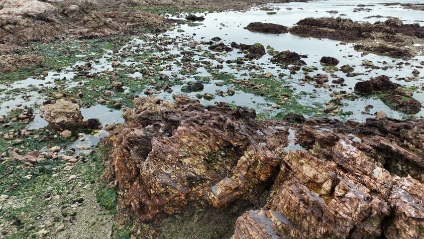 A slow aerial orbit shot over jagged rocks and green algae in tidal pools along the South African coast at low tide.