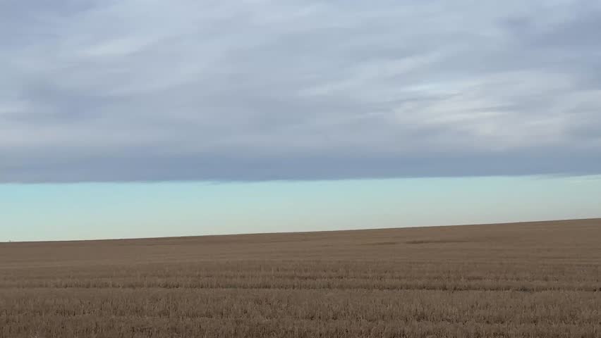 Open prairie farmland landscape in Alberta featuring wide fields and expansive rural horizon. 