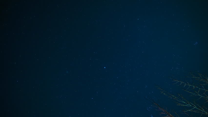 Winter night starry sky and withered tree branches, beautiful natural scenery