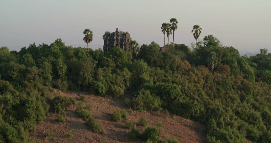 Palm Trees Surrounding Ancient Ruins on Hill in Scenic Landscape