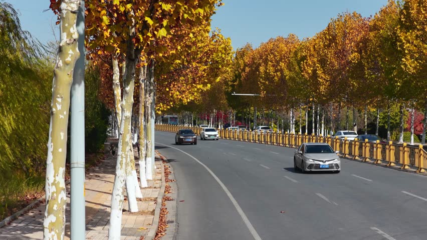 view of autumn forest and black asphalt road. Nature in China hunan.