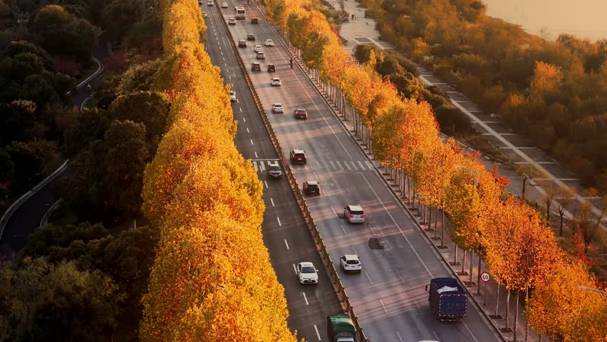 view of autumn forest and black asphalt road. Nature in China hunan.