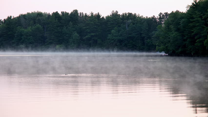 Morning mist drifts across a calm forest lake with gentle ripples reflecting the tree-lined shoreline.