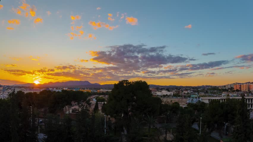 Elche, Alicante, Valencian Community, Spain