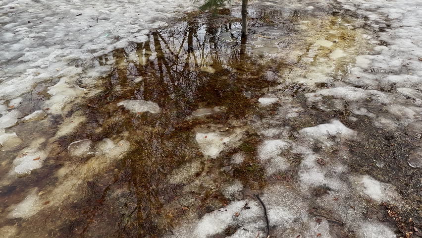 Static view of flooded park ground during spring thaw, with snowmelt pooling over melting ice and reflecting bare trees in realistic late winter conditions.