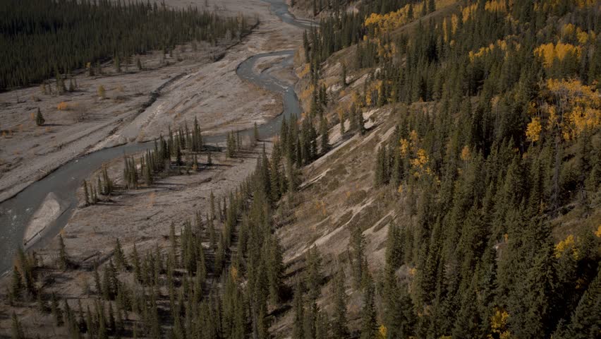Tilt-up reveal mid-day autumn river bed in the forest with mountain off in the distance.