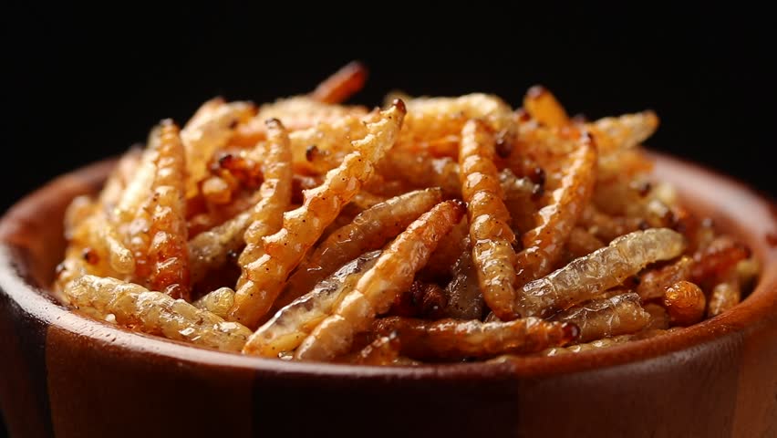 Fried bamboo worms or bamboo caterpillar in brown wooden bowl rotating slowly on balck background. Thai street food