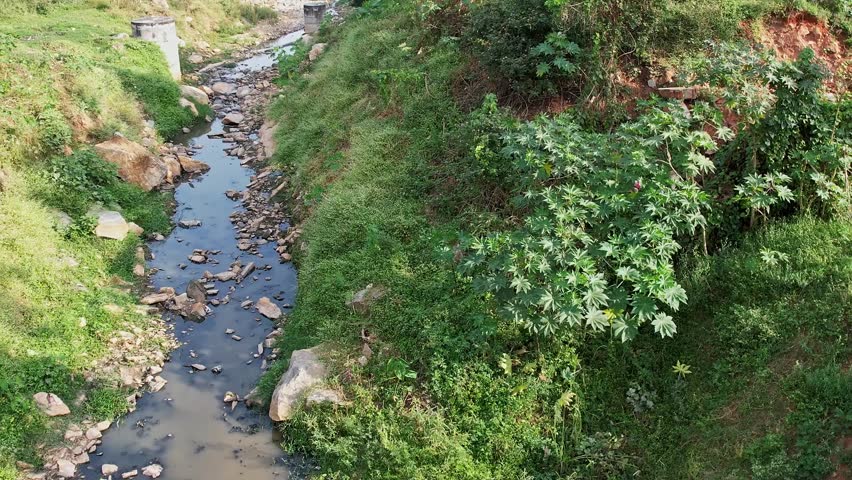 A wide view of dark water slowly flowing through a neglected landscape surrounded by dense wild vegetation and unchecked overgrowth