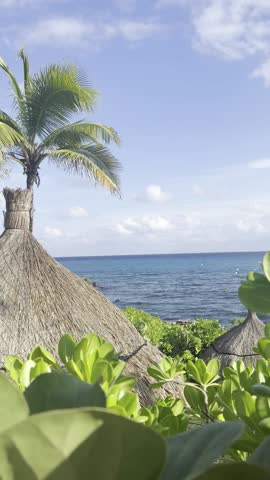 Vertical View of a Tropical Beach with Palm Trees and a Small Hut