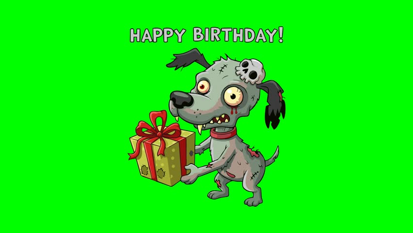 A humorous illustration of a zombie dog holding a birthday present, perfect for birthday greetings and funny content. Features a green screen background for easy editing.