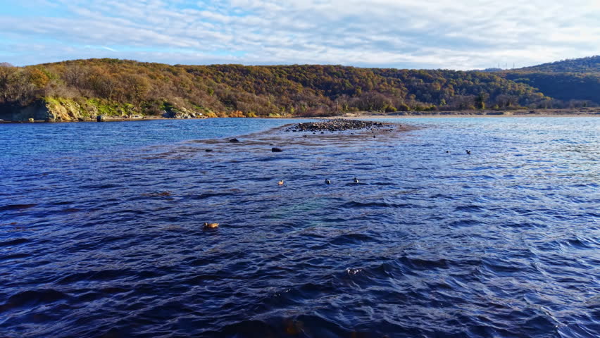 Gentle waves ripple across a peaceful river, framed by vibrant autumn foliage on distant hills under a bright, partly cloudy sky. Nature showcases its tranquil beauty.