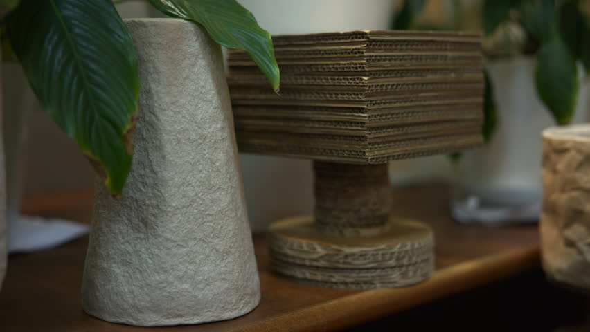 Rustic Indoor Plant Display. An Inviting Interior Showcasing Plants And Organic Themed Decorations. Media