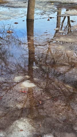 Crystal-clear meltwater glides over lingering ice and last autumn leaves near a picnic table, creating a richly textured park scene that beautifully marks winter giving way to spring.