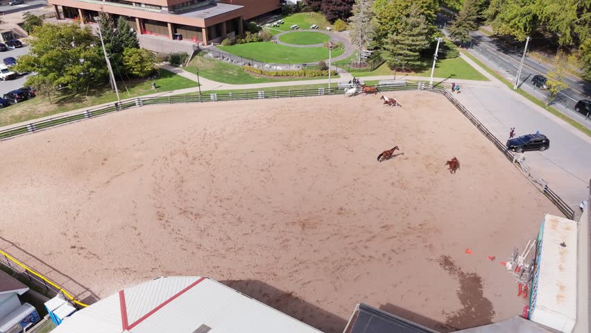 Drone aerial shot summer day: beautiful thoroughbred horses run freely across sandy pasture on equestrian farm near Halifax, Nova Scotia, Canada. Sunny landscape, dynamic motion 4K