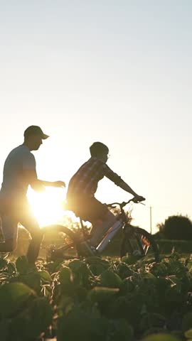 A happy family. Father teaches his son to ride a bike in the park.