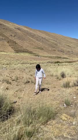 A young girl explores the vast mountain landscape of the peruvian highlands. Scenic view of the dry andean puna with a clear blue sky in Huaraz