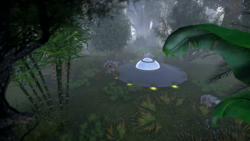 Saucer fallen in the forest

