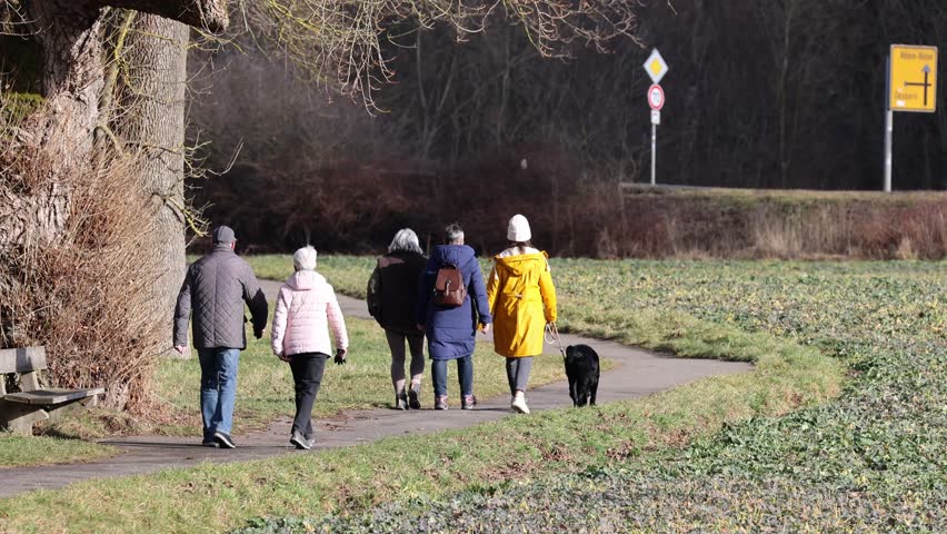 People and dog walking together on a path, enjoying nature and an active lifestyle