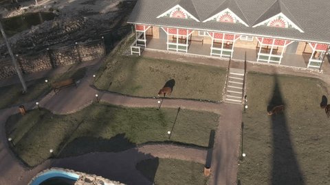 Drone Zooming toward Sheep Park Area