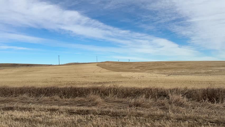 A wide scenic view of the Alberta prairie showcasing open fields, natural terrain, and a vast sky stretching across the horizon. The landscape highlights the beauty of rural Canada with its calm atmosphere, soft natural light, and expansive space. Ideal for themes of nature, environment, travel, agriculture, and peaceful countryside scenery.