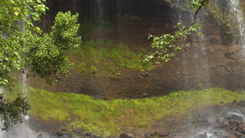 Static medium shot of water falling over lush green moss and rocks in Micronesia