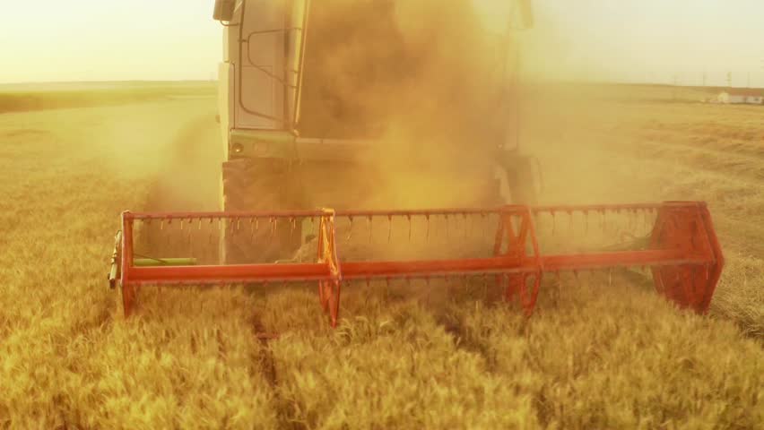 a combine harvester cuts through a golden wheat field, kicking up dust as it works under a vibrant sunset sky, illustrating agriculture and farming technology
