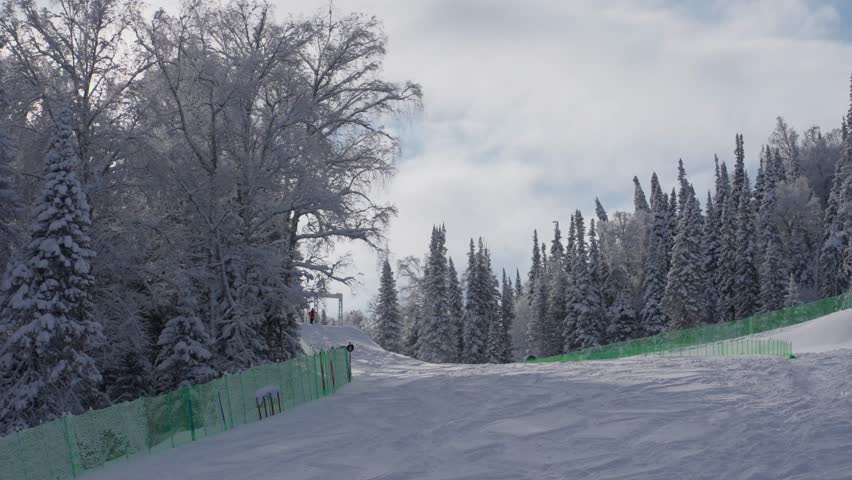Silent Snowcovered Forest Pathway Through Woods. Serene Icy Trail Navigating Snowy Woodland Scenery. Quiet Winter Scene With Winding Frozen Path Amid Snowdusted Trees And Icy Surroundings
