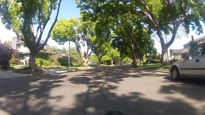 A point of view shot of someone riding a bicycle on a lush and verdant tree