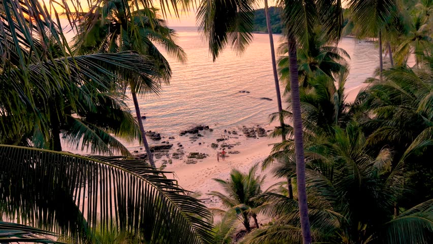 Experience the serene beauty of Koh Kood Island with its stunning beaches, swaying palm trees, and a vibrant sunset. This tropical paradise offers a peaceful escape for nature lovers.