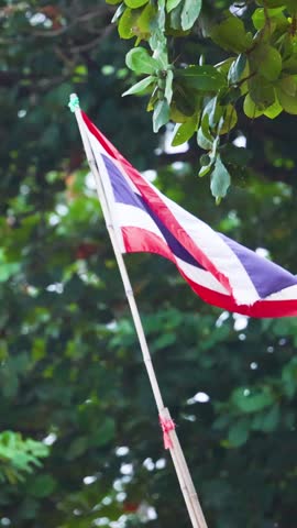 A vertical composition showing the Thai flag fluttering on a pole before dense green trees.